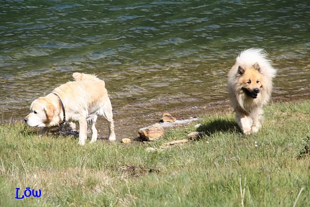 Juli 2009: Rund um den See